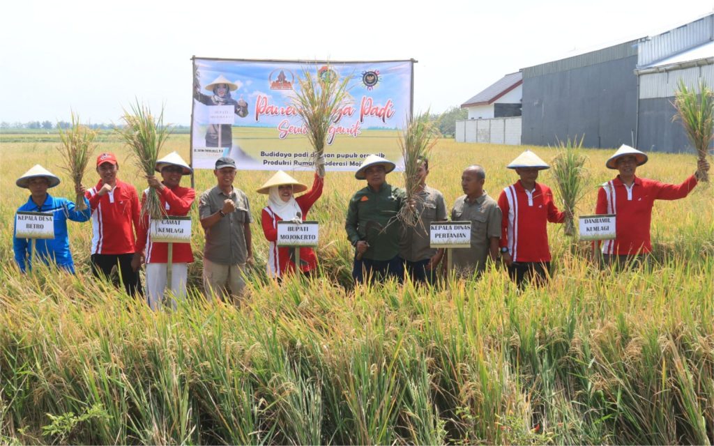 Panen Raya:  Bupati Ikfına Dorong Petani Manfaatkan Pupuk Organik Urine&nbsp;Kelinci